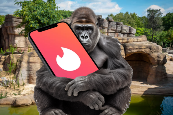 Un gorila aprende a usar Tinder y consigue más citas que un humano promedio